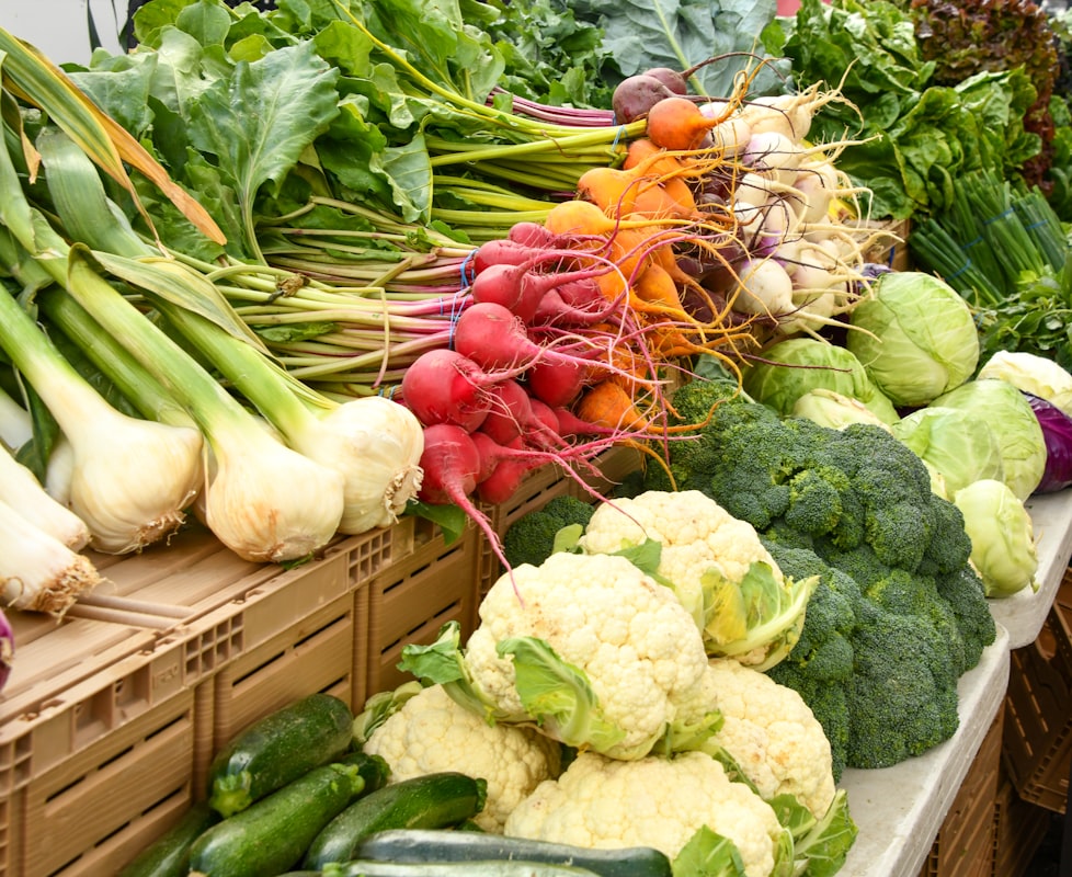 Les principes fondamentaux d'une alimentation équilibrée